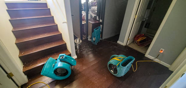 Best Local water damage restoration  in China Spring, TX