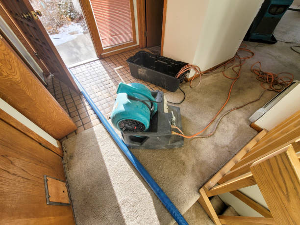 Best Commercial water damage restoration  in China Spring, TX