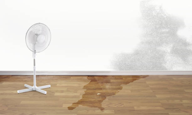 Best Flooded house restoration  in China Spring, TX