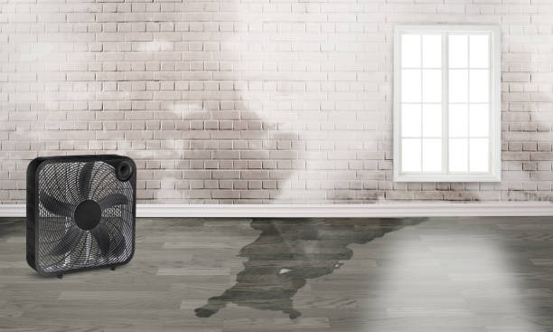 Best 24/7 water damage repair  in China Spring, TX